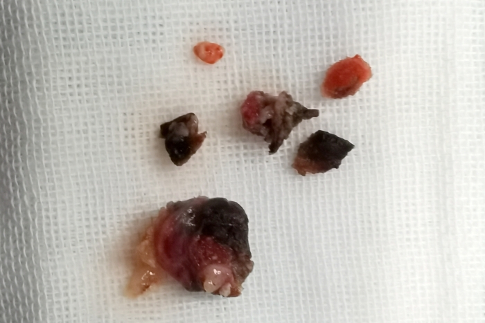 微信圖片_20220321102042 微信圖片_20220321102042