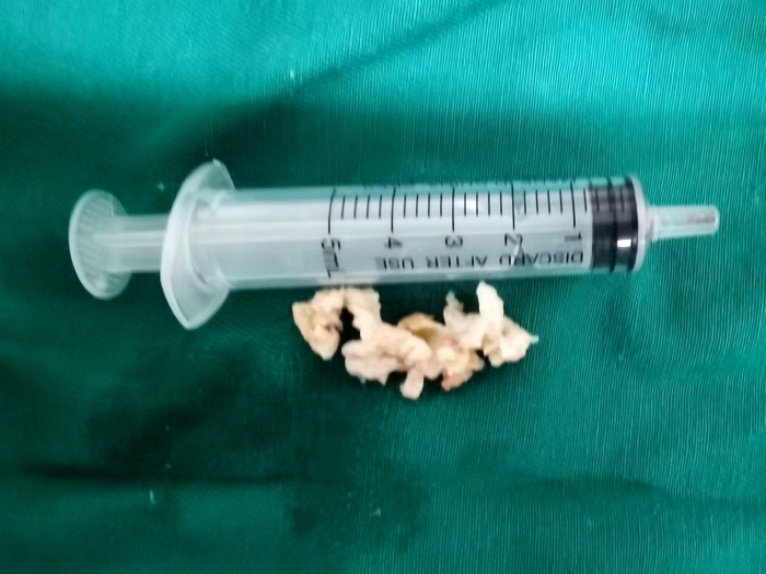 微信圖片_20240117085846 微信圖片_20240117085846