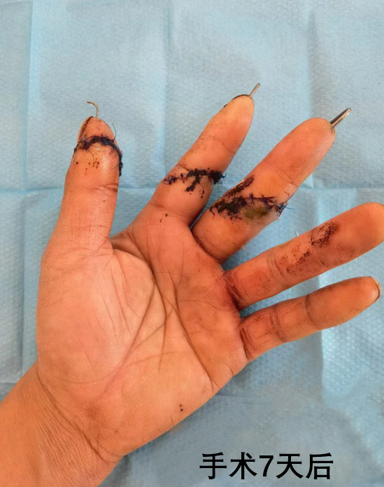 QQ截圖20240426083427 QQ截圖20240426083427